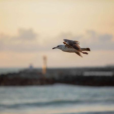 ibis budget Ciboure St-Jean-Luz Eksteriør billede